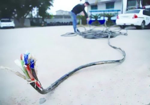 線纜行業(yè)“潛規(guī)則”：‘非標’電線電纜，實質上就是假冒偽劣產品！ 